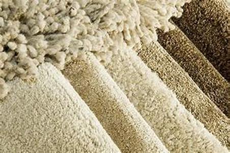 Caring for Dogs that are Hypoallergenic for Humans