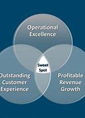 IT Consulting: Medium Sized Businesses and Government Contracts