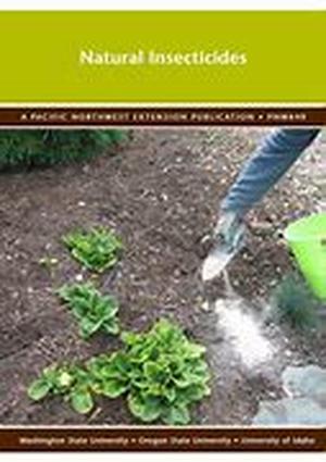The Low-Down On Home Based Composting Processes