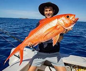 What is Fishing Bait