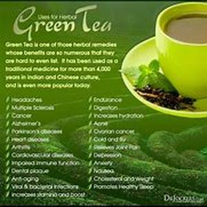 Benefits of Natural Insecticides