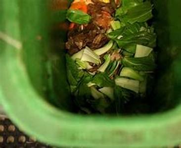 A Review of the Steps to Successful Composting