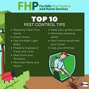 Hydroponics Gardening