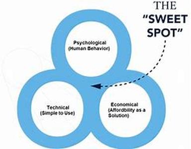 IT Consulting: Services for Sweet Spot Customers