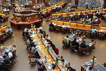 Graduate Degree Options