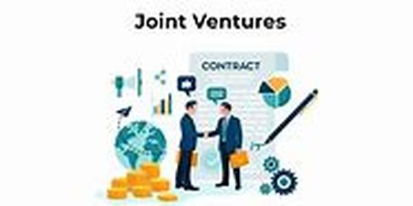 How to fail in the joint venture business
