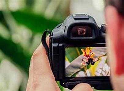 How Do I Use The White Balance Setting On My Digital Camera