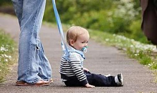 All parents have to worry about what type of baby food they will feed to their children