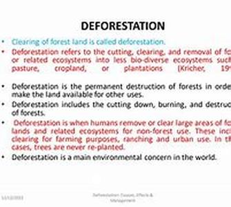 Deforestation And Climate Changes: A Major Impact To The World