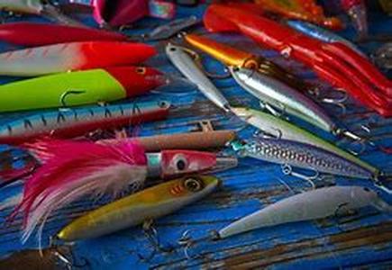 Tips on Lake Fishing for a Great Outdoor Experience