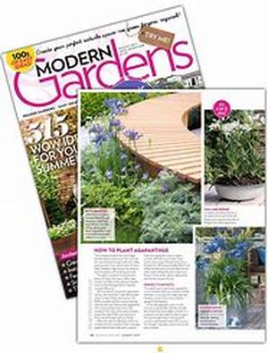 Gardening And Landscaping: Doing It Yourself Or Calling In A Professional
