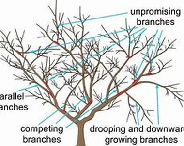 The Secrets Of Winterizing Your Garden