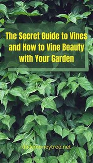 A Guide To Red Roses