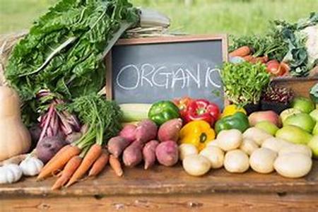 Know Your Greenhouse Supplies