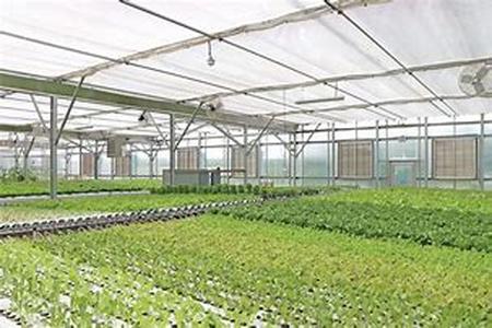A Greenhouse Kit for Both Amateur and Professional Gardeners