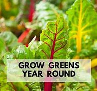 Gardening Tools- an Overview