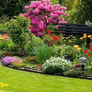 Flower Bulbs:  Natures Greatest Gift