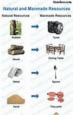 How to Clean Wool Area Rugs  Area rugs that are made of wool are one of the peoples favorite choices