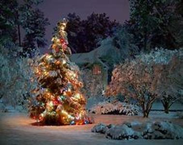 Christmas Gift Ideas: The Treasures Under The Tree
