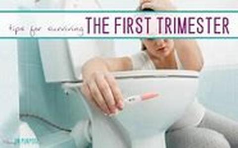 Potty Training: Dealing With Constipation