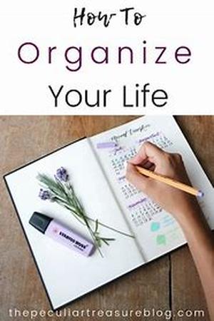 Organic Gardening In The 21st Century