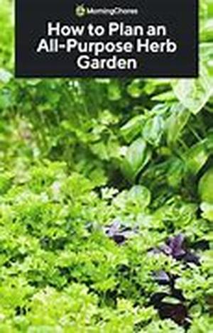 How to Plant Gardening Containers Or Gardening Pots In Your Container Garden