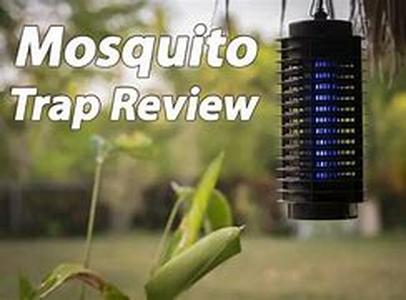 Key Words: mosquito deleto