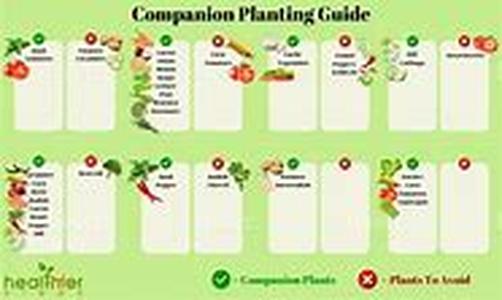 Common Options for a Grave Headstone