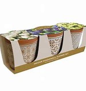 Flowerless, no problems grow your own organic flowers