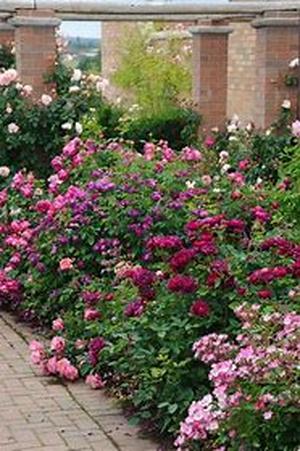 Why I've Always Wanted A Garden Fountain