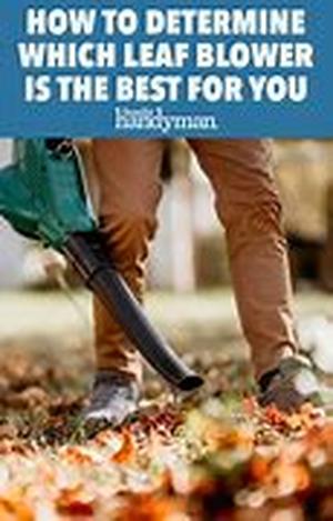 Things to Consider When Buying a Sander
