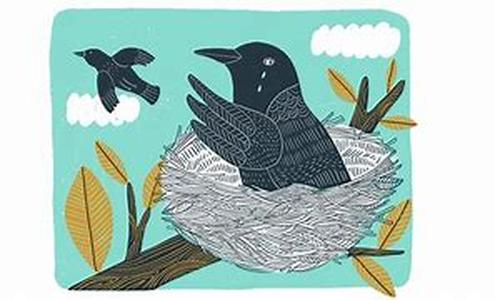 Embroidered cushions covers