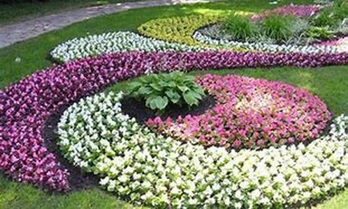 Flower Bulbs