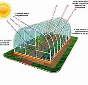 Should Farmers Do Business with Greenhouse Manufacturers
