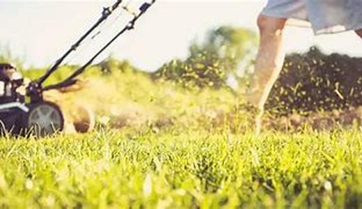 What You Should Know About Adoption