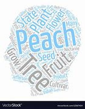 Historical Controversies Of Nectarine Nomenclature, Prunus Persica Nectarina