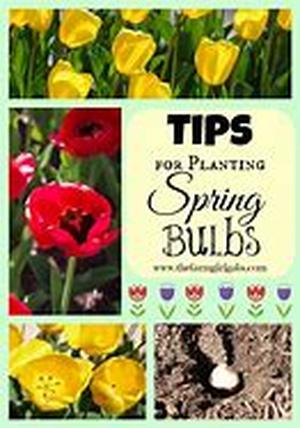 Spring Cleaning A Breeze With Clean Sweep Tips