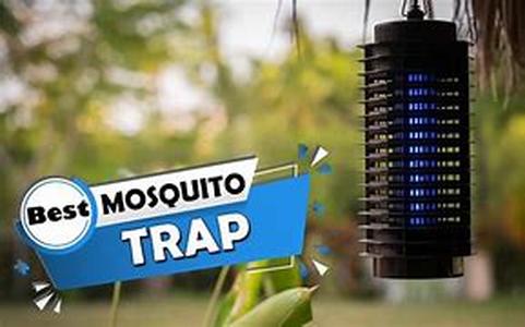 Key Words: Mosquito Facts
