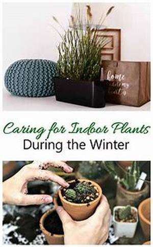 Take Time To Gather Decorating Ideas