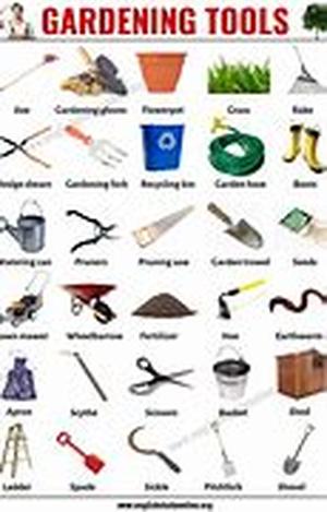 Gardening information and design ideas