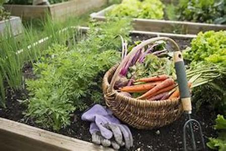 Variety And Care Of Fireplaces