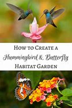 Create The Perfect Garden Pond