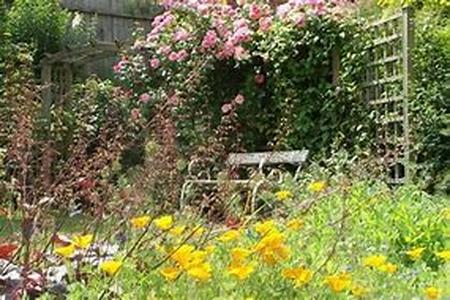 Tips On Creating Your Backyard Retreat