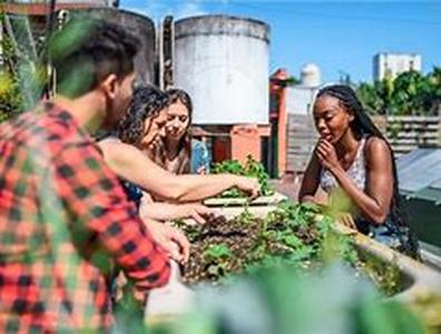 Learn the Benefits of Greenhouse Gardening