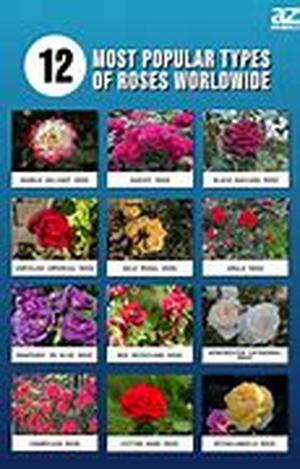 Learning More About Gardening: Locating Gardening Classes And Educational Forums On The Internet