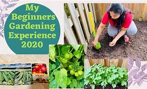 Gardening Tools - An Overview