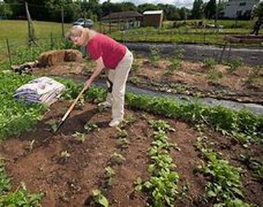 What Makes Up the Greenhouse Structure