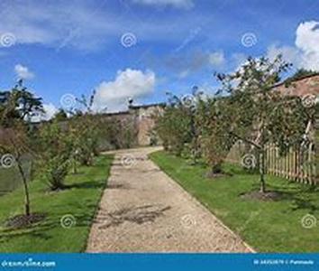 Optimizing Your Garden for Drought or Water Conservation