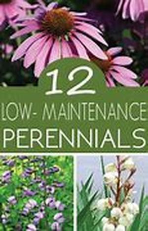 Take Care Of Your Air Conditioning