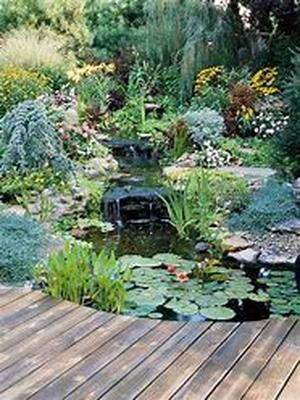 Landscape Can Drive Home Values
